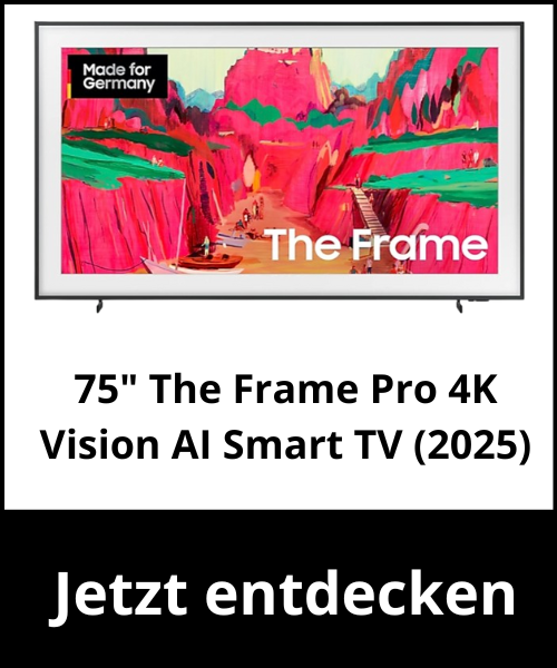 Samsung The Frame Pro Modell 1